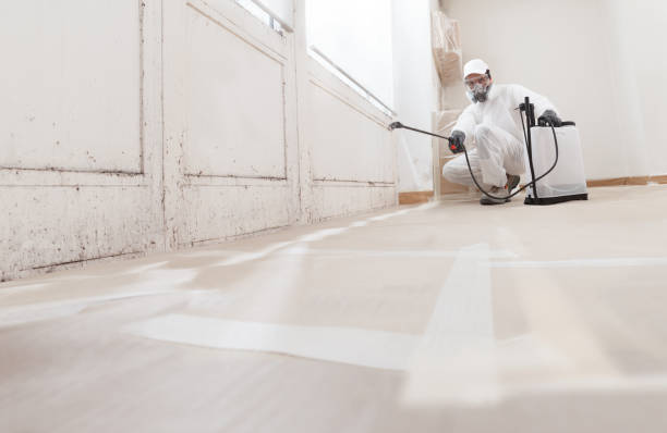 24/7 Emergency Mold Removal experts in Auburn, NY